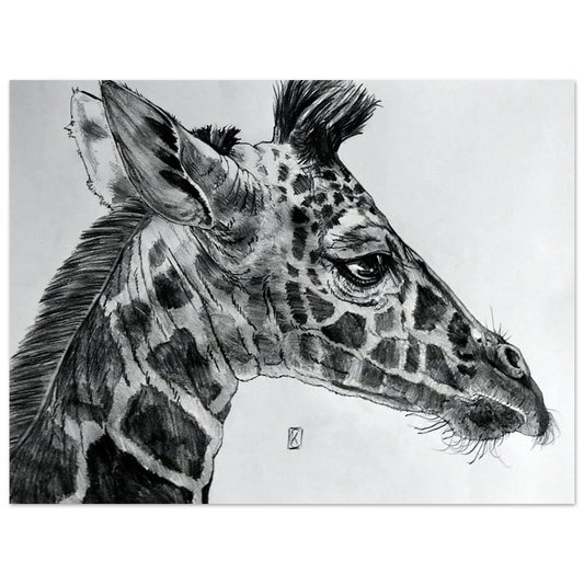 2535c7ef-f93a-4775-9734-2f2cd4d9c6a4