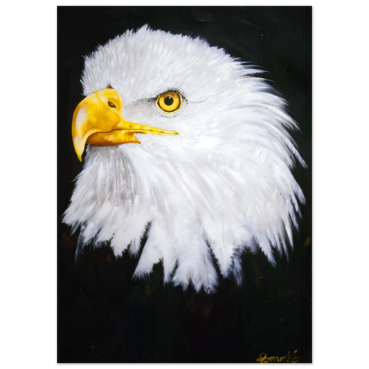 6dc910b8-da0a-46ad-a628-3fcd13876bc8