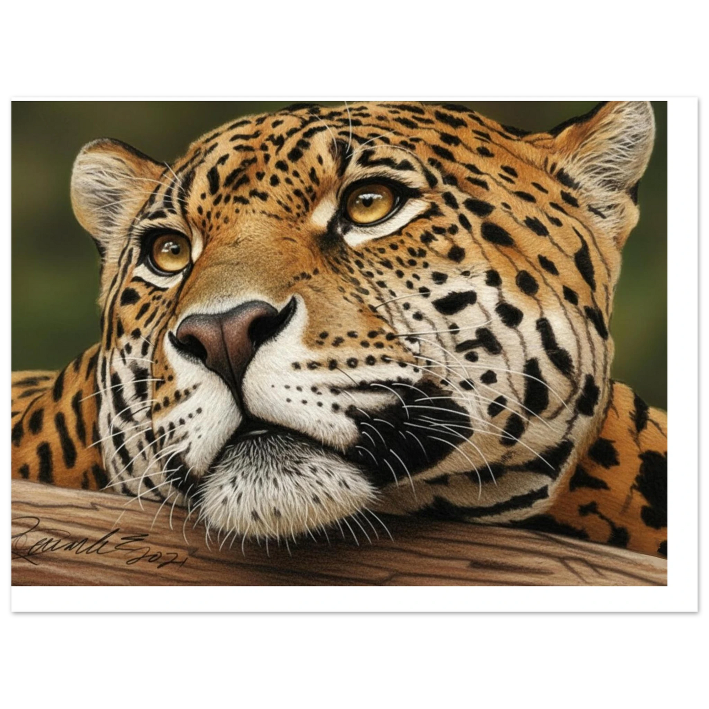 d9412add-4a87-4953-8e15-e51510073d46
