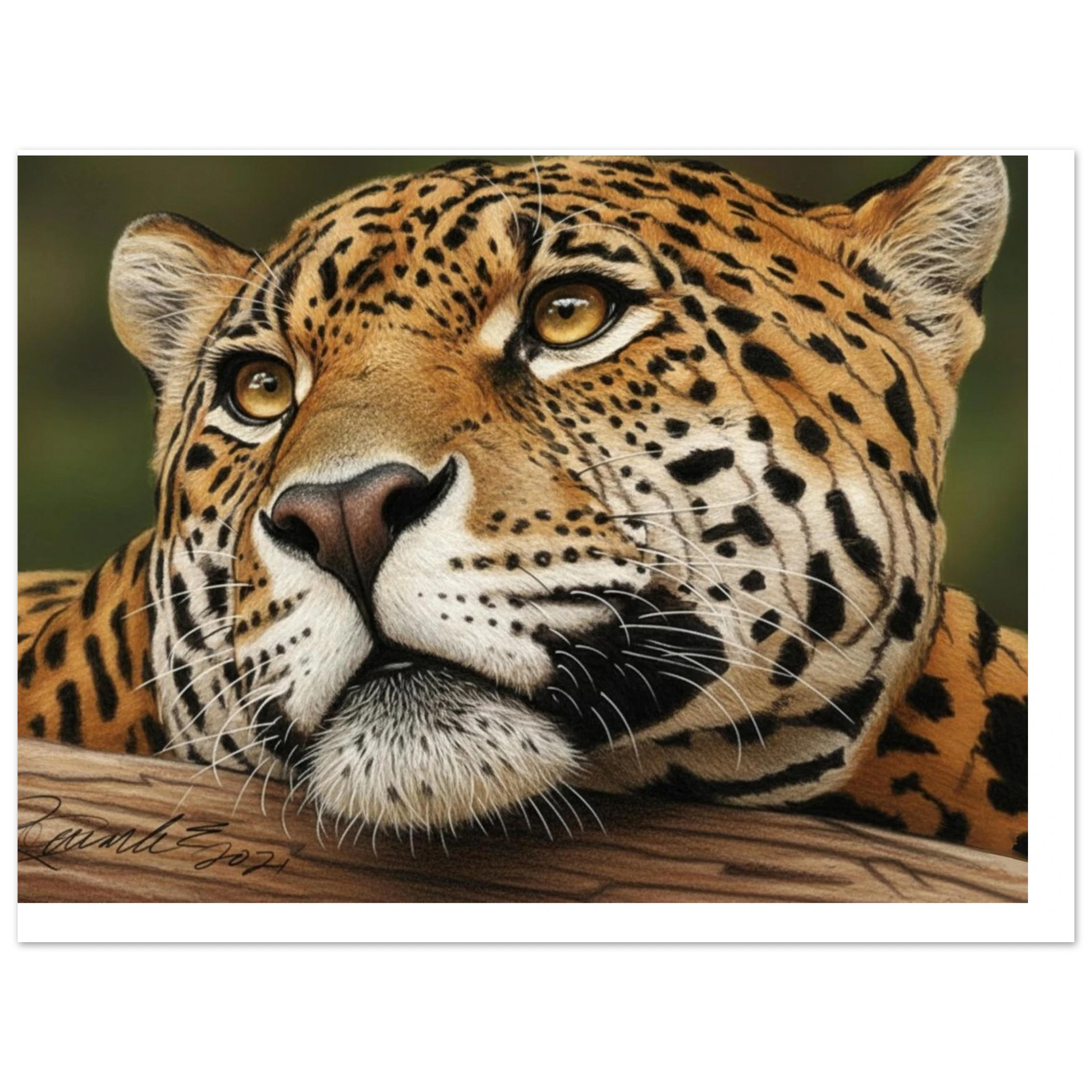 d9412add-4a87-4953-8e15-e51510073d46